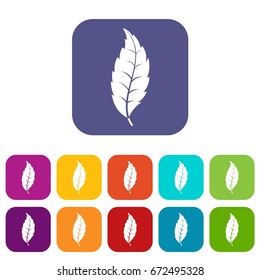 Narrow toothed leaf icons set vector illustration in flat style In colors red, blue, green and other