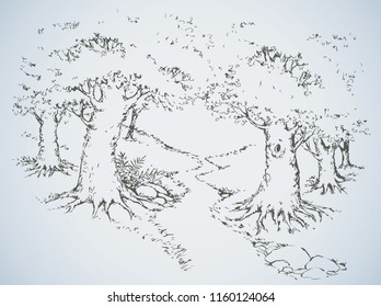 Narrow track among large lush old oakwood plants. Freehand outline ink hand drawn picture sketchy in art scribble retro style pen on paper. Scenic rural view with space for text on white sky backdrop
