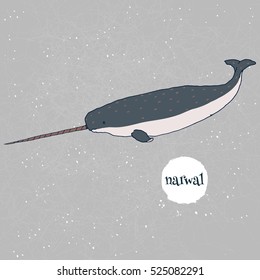 Narwal vector illustration. Hand drawn, isolated on gray background with mesh and white watercolor splash. Arctic marine mammal. Unicorn.