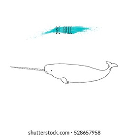 Narwal vector illustration. Hand drawn, isolated on white background with blue watercolor splash. Marine mammal. Unicorn. Be free. Line drawing.