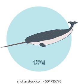 Narwal whale vector illustration. Hand drawn unicorn isolated on white and blue background.