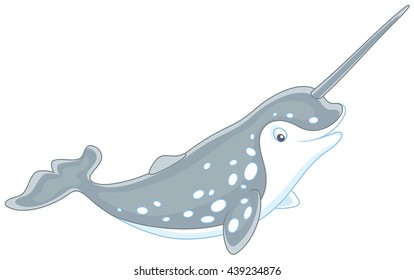 narwhal