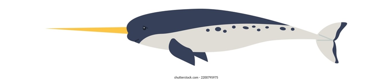 Narwhal Arctic Wildlife Animal. Vector Illustration