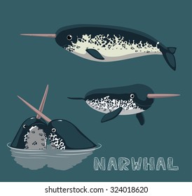 Narwhal Cartoon Vector Illustration