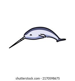 Narwhal color line illustration. Marine mammals.