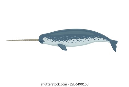 Narwhal With A Horn. Vector Illustration Of A Colorful Narwhal With A Big Horn Isolated On White. Flat Design, Side View.