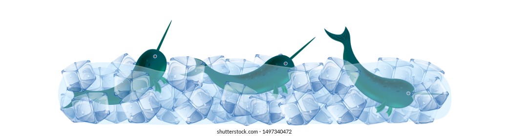narwhal in ice cubes vector illustration.