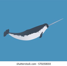 Narwhal illustration, vector, whale, cetacea, animal, aquatic animals