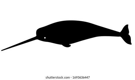 Narwhal - marine mammal - vector silhouette for logo or sign. A male narwhal with a long tusk is an underwater animal silhouette. Narwhal ocean dweller black silhouette for pictogram.