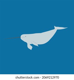 Narwhal, Monodon monoceros is also known as the unicorn of the sea. It can be found in Arctic coastal water and rivers