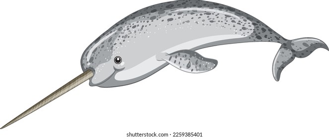 Narwhal on white background illustration