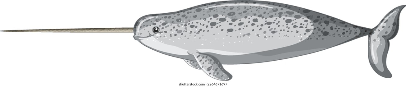 Narwhal sobre ilustración de fondo blanco