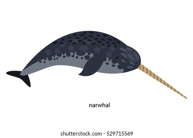 Narwhal -  protected rare animal living in the North