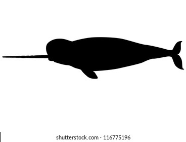 Narwhal silhouette