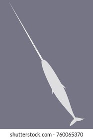 narwhal from top view