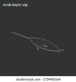 Narwhal whale icon line element. Vector illustration of narwhal whale icon line isolated on clean background for your web mobile app logo design.