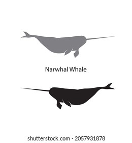 Narwhal Whales silhouette vector illustrations isolated on white background. Ocean wildlife mammals collection. Silhouette of different types of whale sea animals. Fish and sea life silhouette graphic