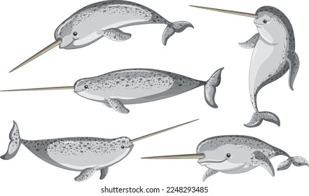 Narwhale cartoon character in different poses illustration