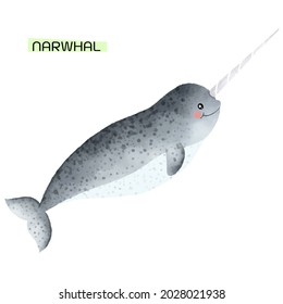 Narwhale Illustration In Watercolour Style. Sea Creature Vector Isolated From Background.
