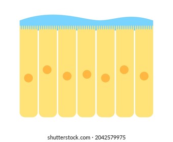 Nasal Mucosa Flat Vector Anatomical Icon. Epithelium In The Nose, Gut, Stomach Or Colon. Human Olfactory System Concept. Mucus, Ciliated Cells, Villi And Cilia Poster For Clinic Or Education.