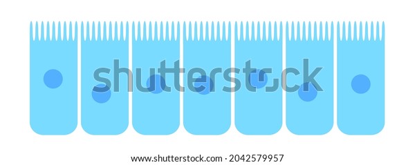 Nasal Mucosa Flat Vector Anatomical Icon Stock Vector (Royalty Free ...