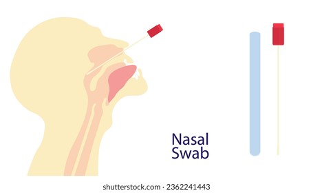 Nasal swab beeing inserted in a human nose ilustration. 