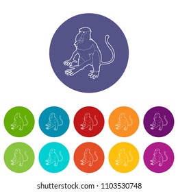 Nasalis monkey icons color set vector for any web design on white background