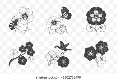 Nasturtium Botanical Illustration Line Art Vector Set with Detailed Flower and Leaf Designs