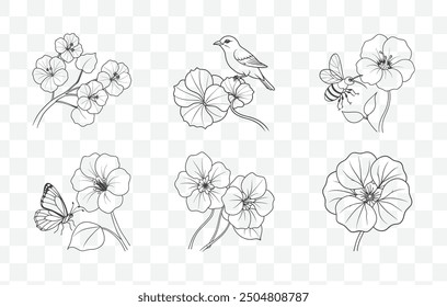 Nasturtium Flower Line Art Vector Set with Detailed Floral Designs for Botanical Illustrations and Nature Inspired Artwork