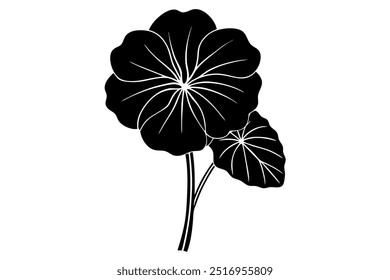 Nasturtium Flower Silhueta ilustração vetorial com fundo branco.