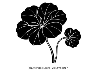 Nasturtium Flower Silhouette ilustração vetorial sobre fundo branco.