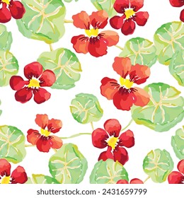 Nasturtium flowers, green leaves, white background. Floral illustration. Vector seamless pattern. Botanical design. Nature garden plants. Summer