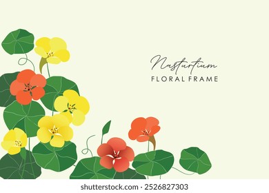 Nasturtium flowers and leaves frame background. Vector illustration of a nasturtium flowers in frame with an arranged floral seamless pattern.