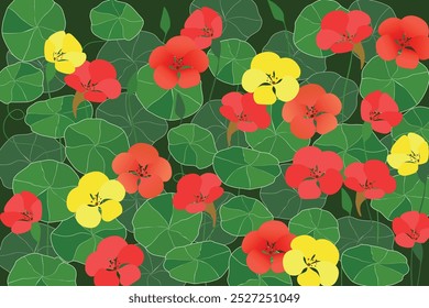 Nasturtium flowers and leaves frame background. Vector illustration of a nasturtium flowers in frame with an arranged floral seamless pattern.