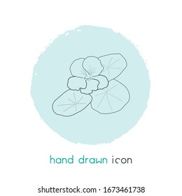 Elemento de línea de icono de nasturcio. Ilustración vectorial de la línea de iconos de nasturcio aislada en fondo limpio para el diseño del logotipo de la aplicación móvil web.