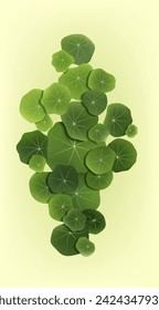 Nasturtium leaves on a light background. Vector illustration. Sketch for creativity.