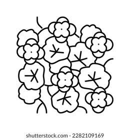 nasturtium liana line icon vector. nasturtium liana sign. isolated contour symbol black illustration