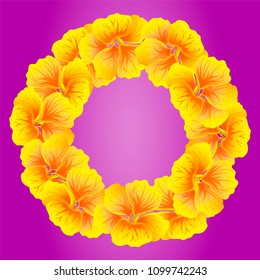 Nasturtium wreath. Wild Yellow flowers. Beautiful Floral circle isolated on bright pink background. Vector illustration.Card template for greeting, invitation and other design. Decorative round frame.