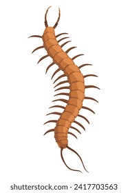 Nasty insect. Centipede and millipede. Flat cartoon isolated on white. Long worm with spikes. Brown Earwig