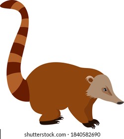 Nasua animal, illustration, vector on white background