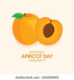 National Apricot Day vector. Apricot cut in half icon vector. Half and whole apricot graphic design element. Fresh apricots fruit drawing. January 9 every year. Important day