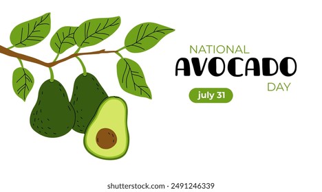 National avocado day design template. whole Avocado fruit. Cartoon vector illustration. National avocado day greeting banner template. flat design.