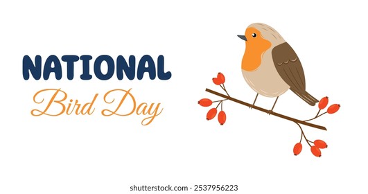 National Bird Day. January 5. Colorful hand drawn bird robin sitting on a branch with berries. Vector template for holiday poster, banner, flyer, card.
