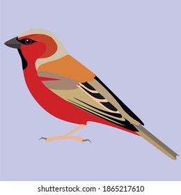 National bird day in the United States. Cute children's bird day card with a funny bird on a blue background . Vector