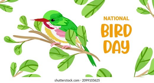 national bird day vector on white background. Flat style design. For social media, headers, website, poster, invitation. Small tropic bird illustration