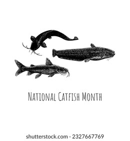 National Catfish Month hand drawing vector isolated on white background.