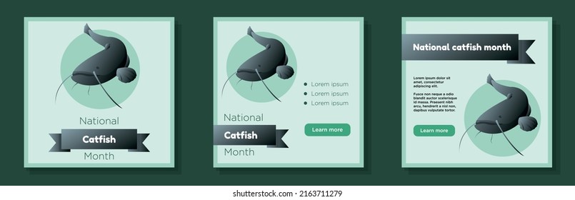 National catfish month social media post, banner set, freshwater predator fish advertisement concept, wildlife celebration day marketing square ad, abstract print, isolated on background.