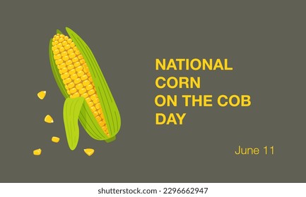 National Corn on the Cob Day banner on June 11th. Cob of sweet golden corn, grains, maize. Summer food vector illustration