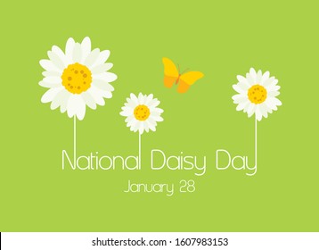 National Daisy Day vector. Daisy icon vector. Beautiful daisies on a green background. Daisy Day Poster, January 28