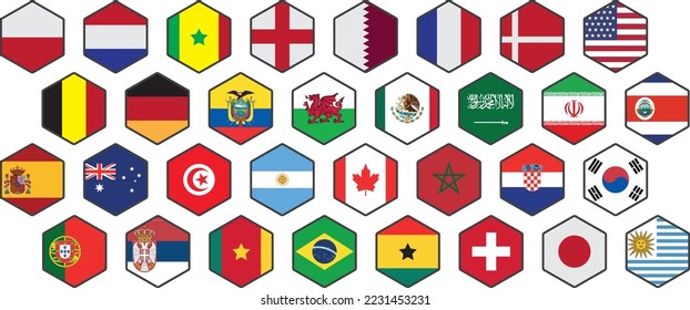 diseño vectorial de icono de bandera nacional